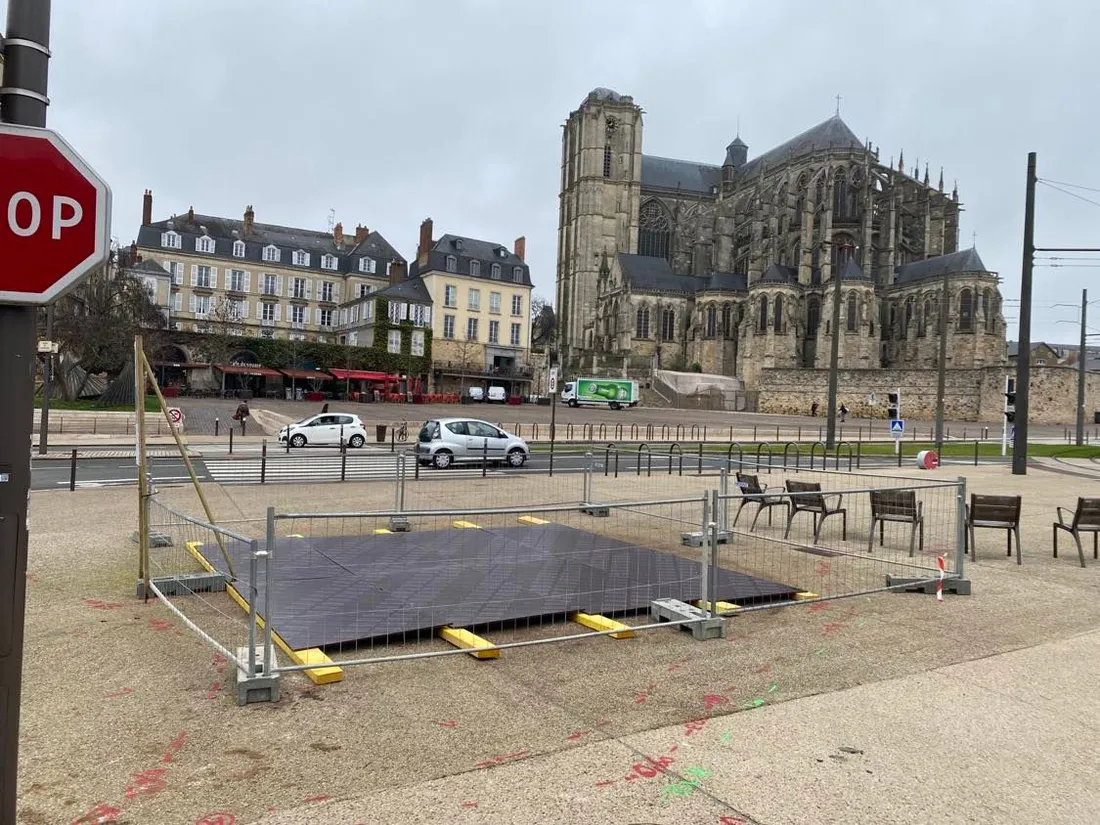 Un ginkgo biloba sera transplanté sur la place des Jacobins, au Mans